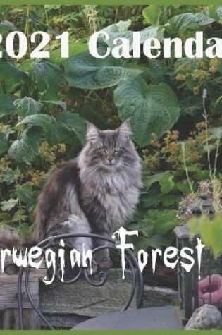 Cover of Norwegian Forest Cat