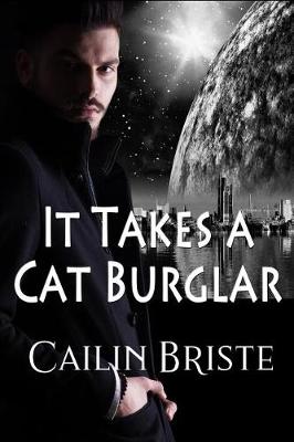 Book cover for It Takes a Cat Burglar