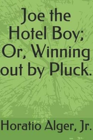 Cover of Joe the Hotel Boy; Or, Winning Out by Pluck.