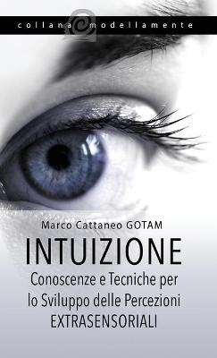 Book cover for Intuizione