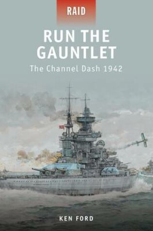 Cover of Run The Gauntlet
