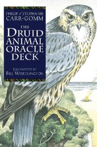 Cover of The Druid Animal Deck