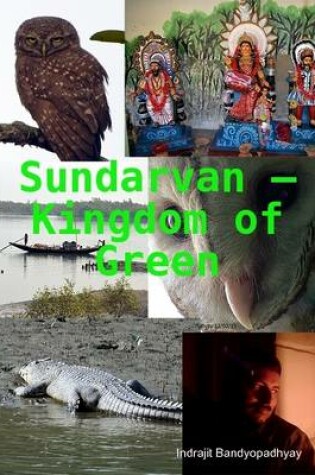 Cover of Sundarvan - Kingdom of Green