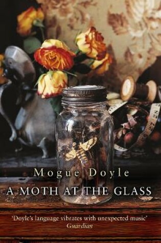 Cover of A Moth At The Glass