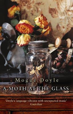 Book cover for A Moth At The Glass