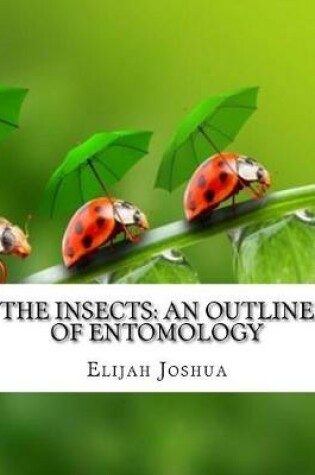 Cover of The Insects