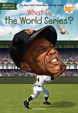 Book cover for What Is the World Series?