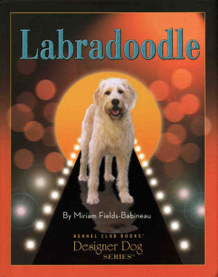 Book cover for Labradoodle