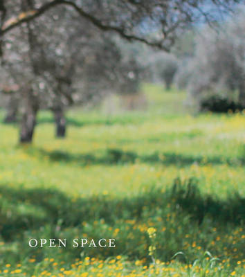 Book cover for Open Space