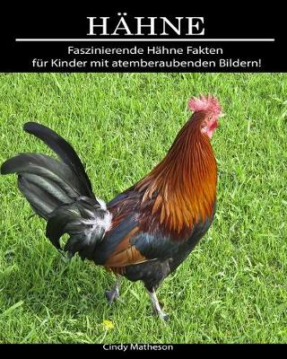 Book cover for Hahne