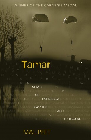 Book cover for Tamar