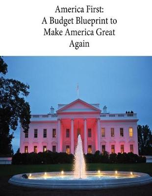 Book cover for America First