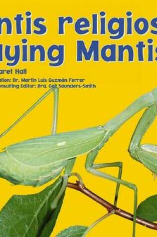 Cover of Mantis Religiosa/Praying Mantises