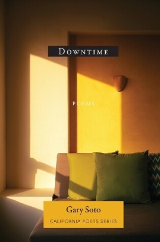 Cover of Downtime