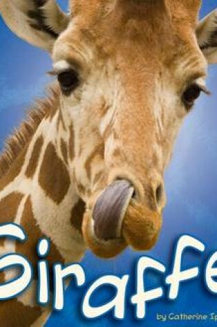 Cover of Giraffes