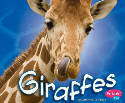 Book cover for Giraffes