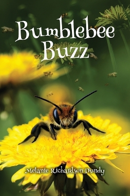 Book cover for Bumblebee Buzz