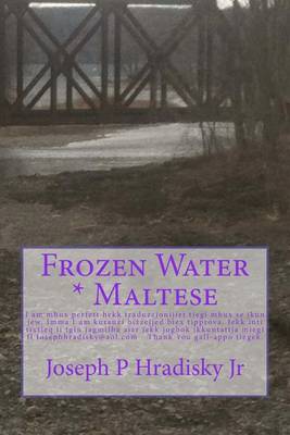 Book cover for Frozen Water * Maltese