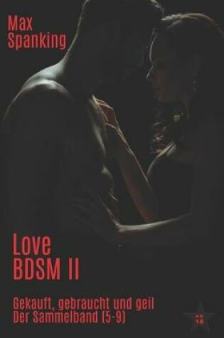 Cover of Love BDSM II