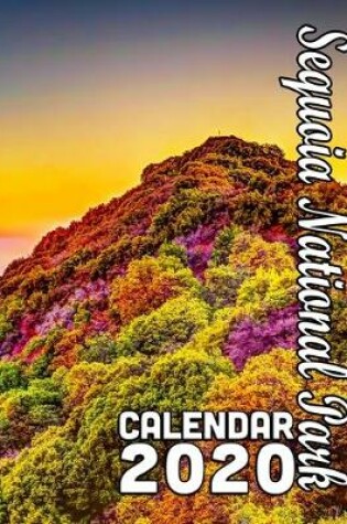 Cover of Sequoia National Park Calendar 2020