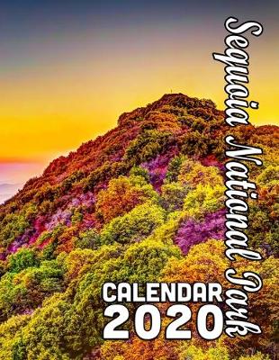 Book cover for Sequoia National Park Calendar 2020