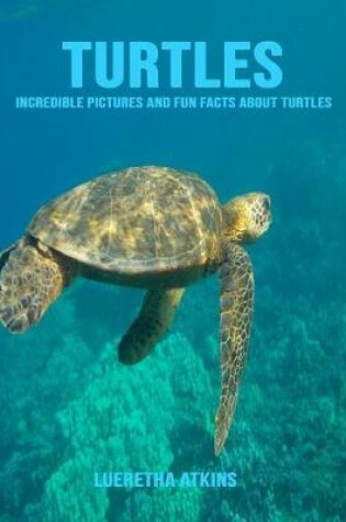 Cover of Turtles