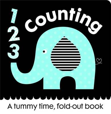 Book cover for First Focus Frieze Counting