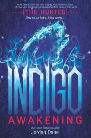 Cover of Indigo Awakening
