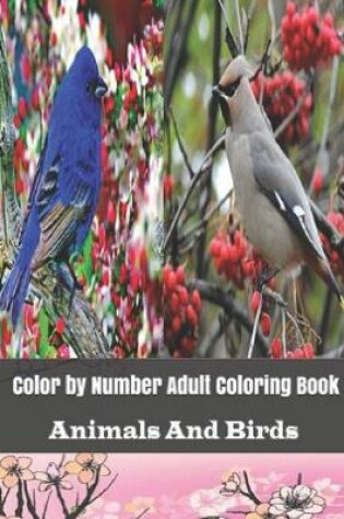 Cover of Color By Number Adult Coloring Book