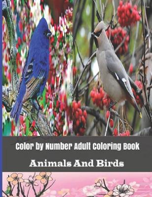 Book cover for Color By Number Adult Coloring Book