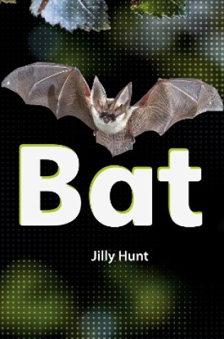 Cover of Bat (Set 02)