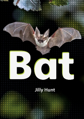 Book cover for Bat (Set 02)