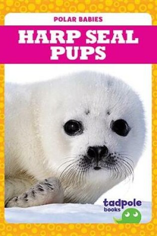 Cover of Harp Seal Pups