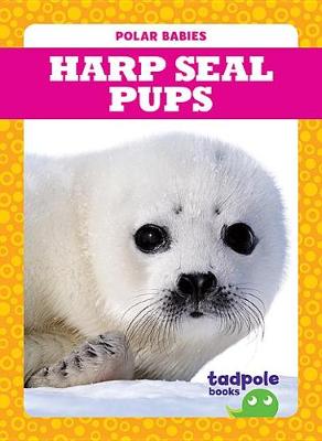 Book cover for Harp Seal Pups