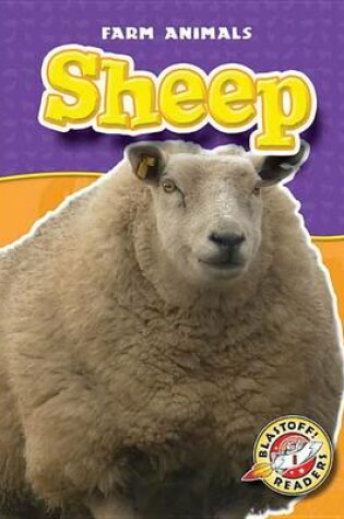 Cover of Sheep