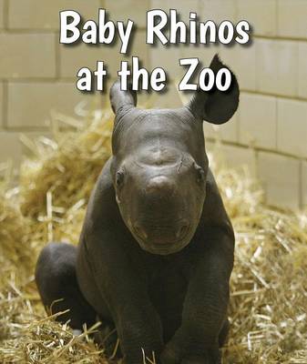 Book cover for Baby Rhinos at the Zoo