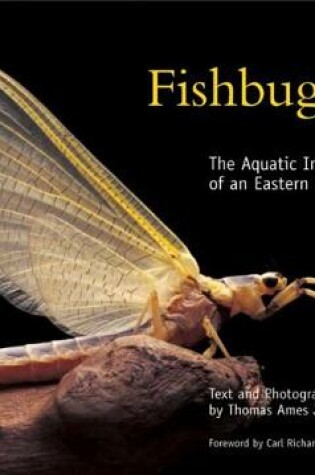 Cover of Fishbugs