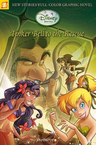 Cover of Disney Fairies Graphic Novel #4