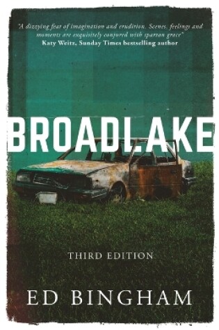 Cover of Broadlake