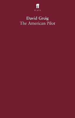 Book cover for The American Pilot