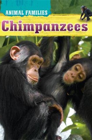 Cover of Animal Families: Chimpanzees