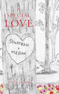 Book cover for A Special Love