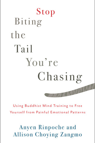 Cover of Stop Biting the Tail You're Chasing