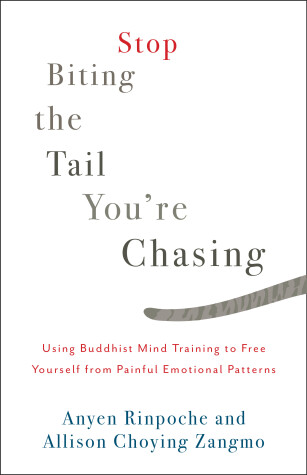 Book cover for Stop Biting the Tail You're Chasing