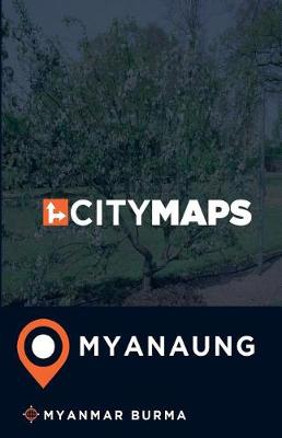 Book cover for City Maps Myanaung Myanmar Burma