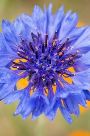 Cover of A Beautiful Blue Cornflower Bloom Journal