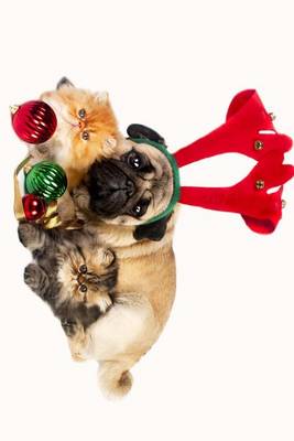 Book cover for Christmas Pug in Antlers with Two Persian Kittens