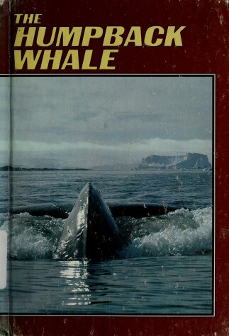 Book cover for The Humpback Whale