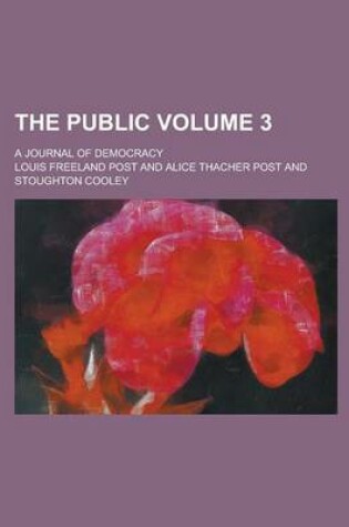 Cover of The Public; A Journal of Democracy Volume 3