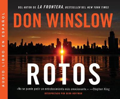 Book cover for Rotos (Broken)